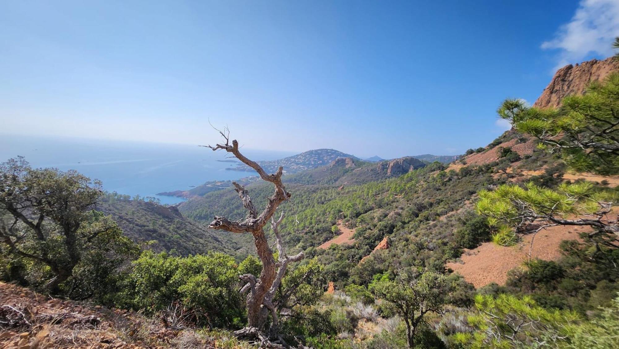 Saint-Raphael- Vue Mer Et Massif De L'Esterel ภายนอก รูปภาพ